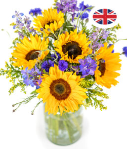 British Summer Meadow