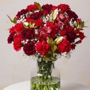 Festive Wishes XL