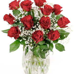 12 Luxury Red Roses