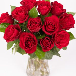 Red Roses
