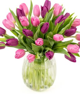 Simply Tulips