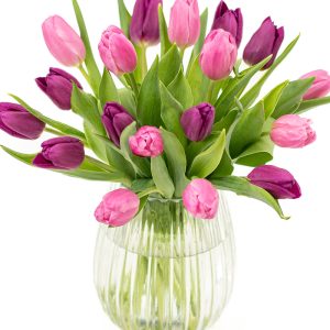 Simply Tulips