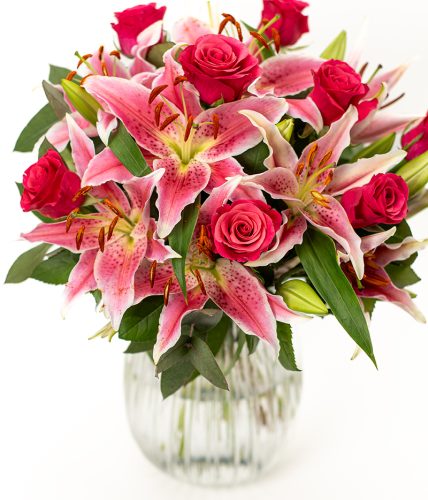 Rose & Lily